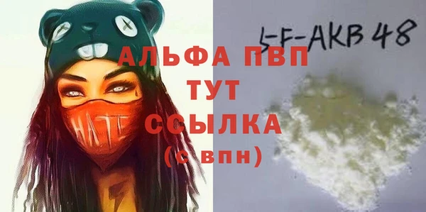 прущие грибы Новокубанск