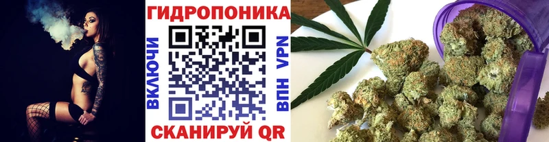 Конопля марихуана  блэк спрут рабочий сайт  Константиновск  продажа наркотиков 